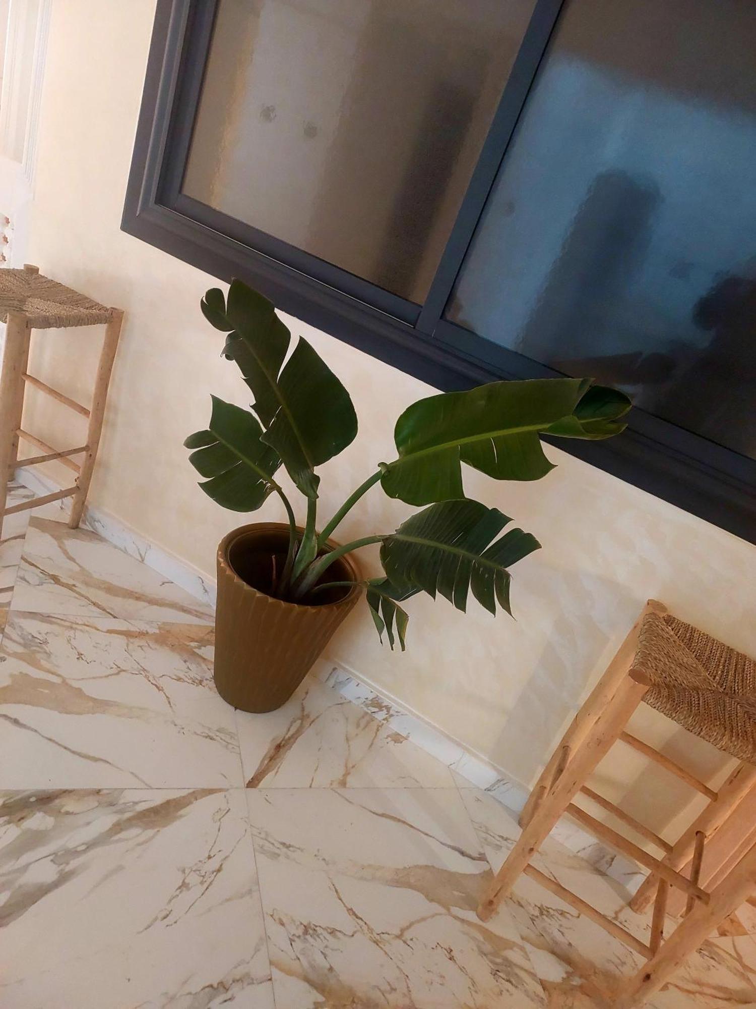 Mogador Appartements T6 Εσαουίρα Εξωτερικό φωτογραφία