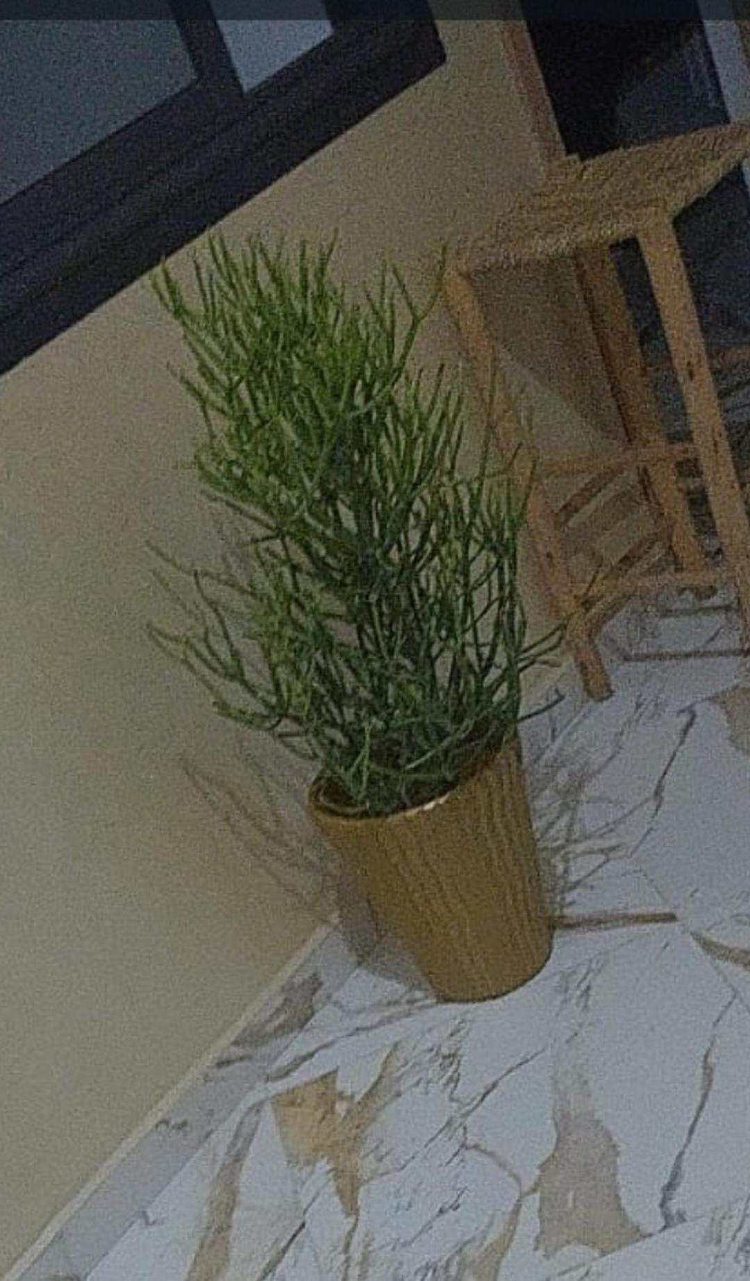 Mogador Appartements T6 Εσαουίρα Εξωτερικό φωτογραφία